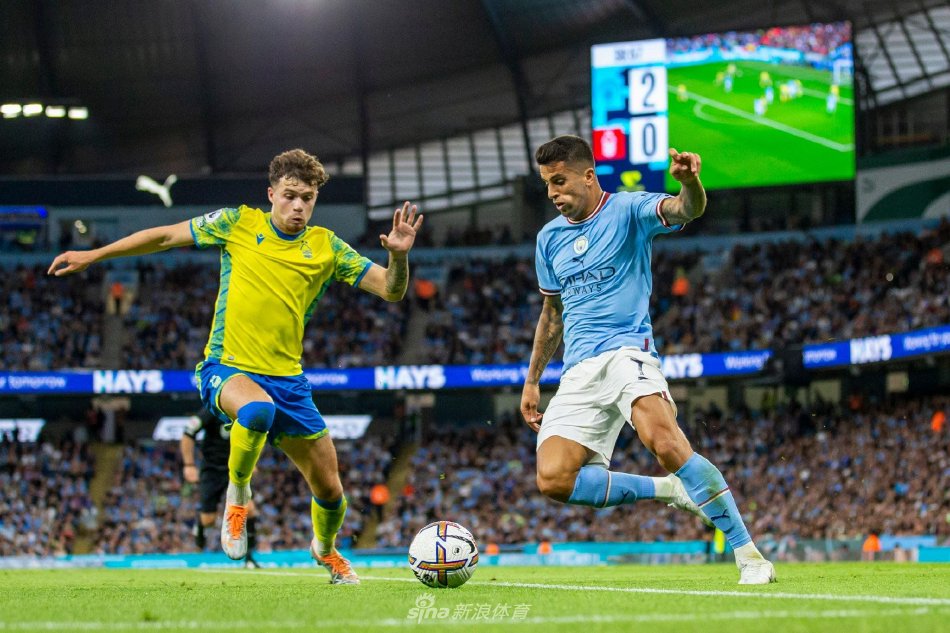 这些关键词 这些关键词