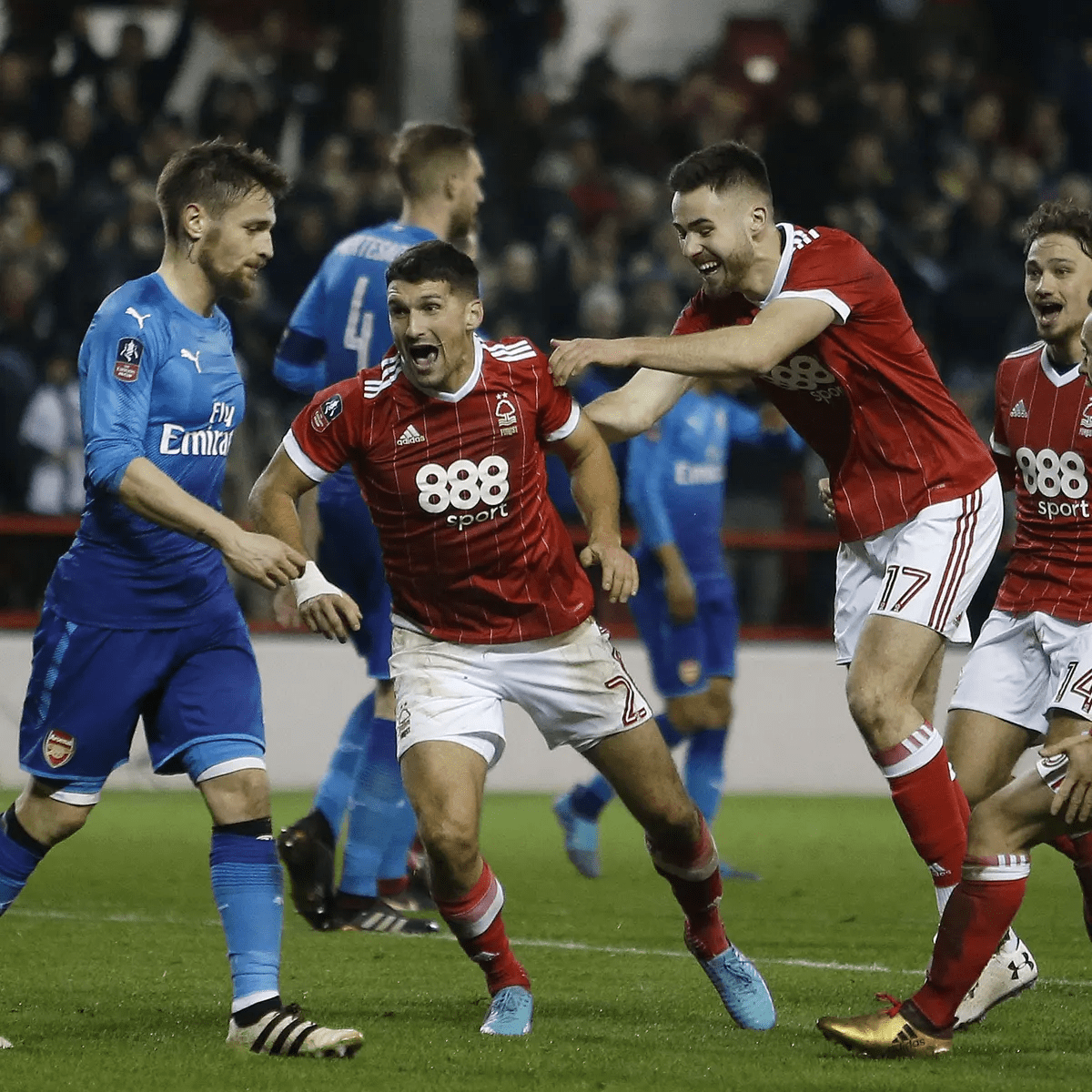 场高水平的 场高水平的